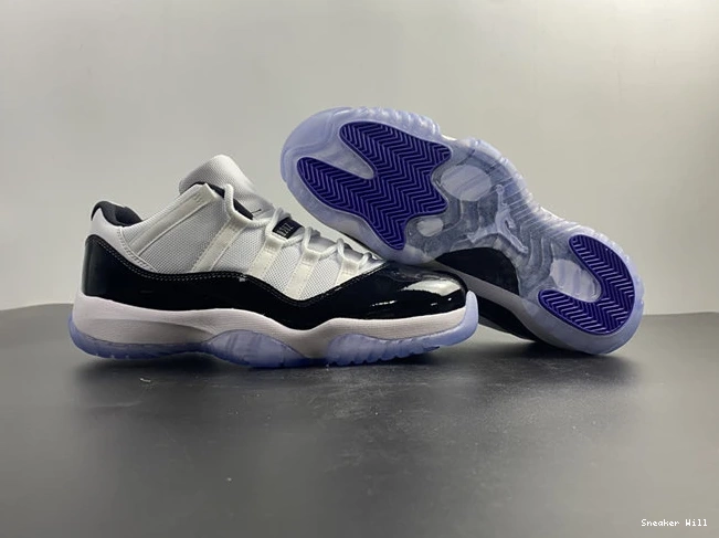 Concord 528895-153 Low Jordan Retro HighQuality 1065 11 0527